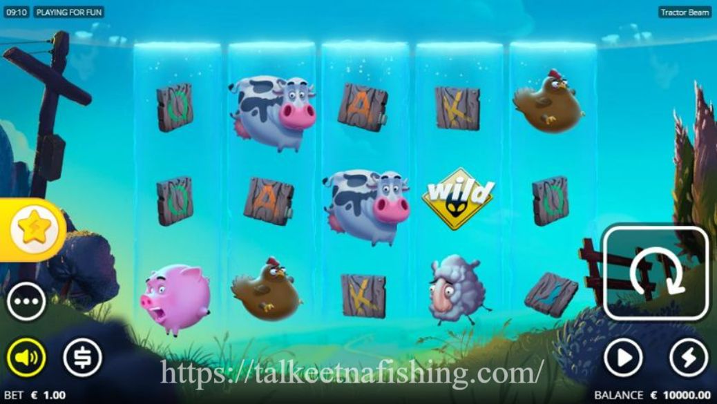 https://talkeetnafishing.com/